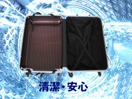 内装を外して洗えるスーツケース